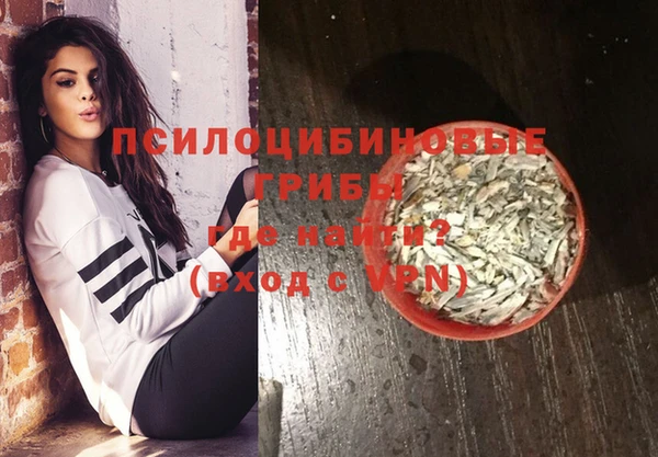 ешки Дмитровск