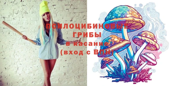 ешки Дмитровск