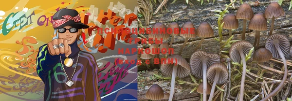ешки Дмитровск