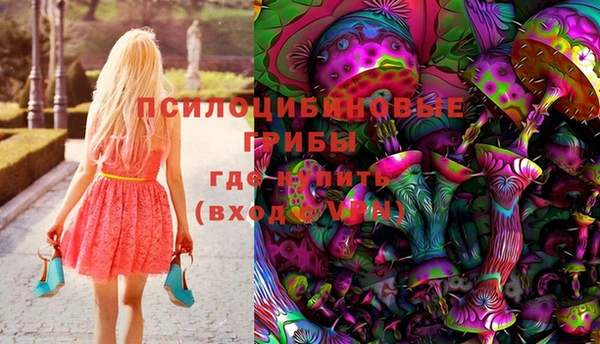 ешки Дмитровск