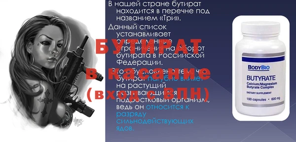 мдпв Гусев