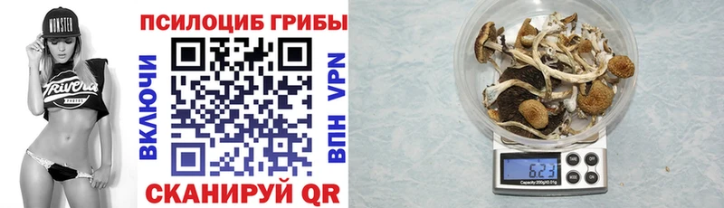 mega зеркало  Ефремов  Псилоцибиновые грибы Psilocybe 