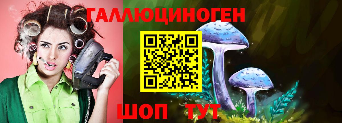 Ефремов  Псилоцибиновые грибы Psilocybine cubensis  Вход с VPN 