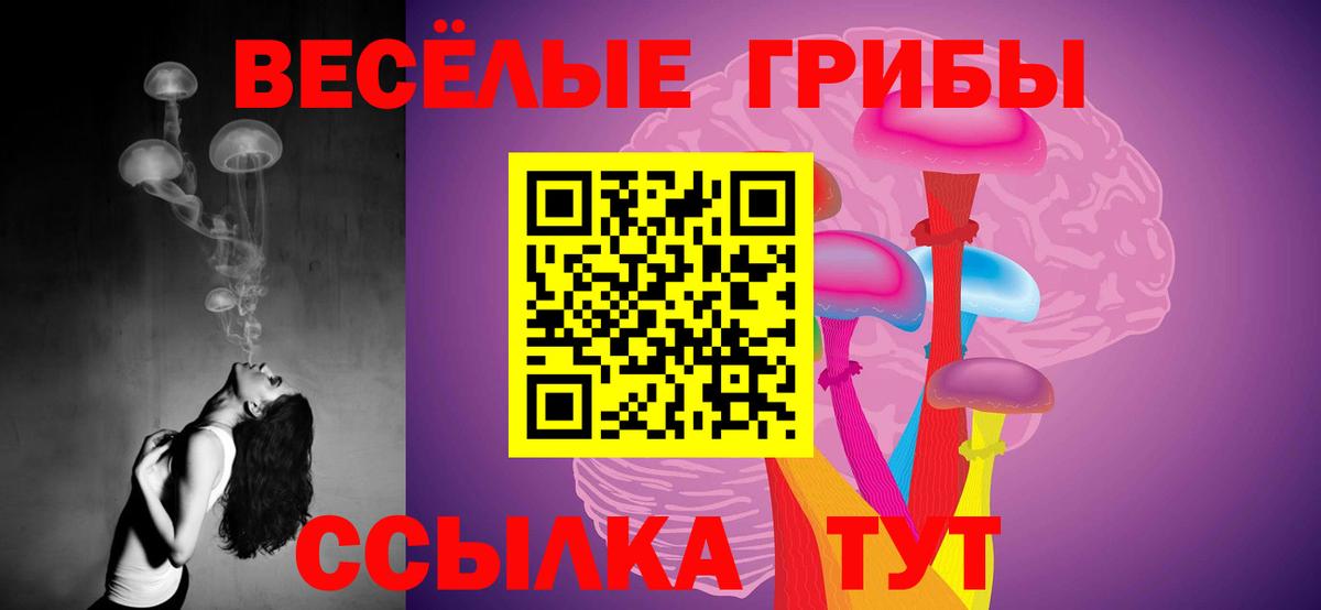 Псилоцибиновые грибы Psilocybine cubensis Ефремов